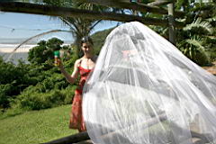 1026 cintsa IMG_4036.JPG